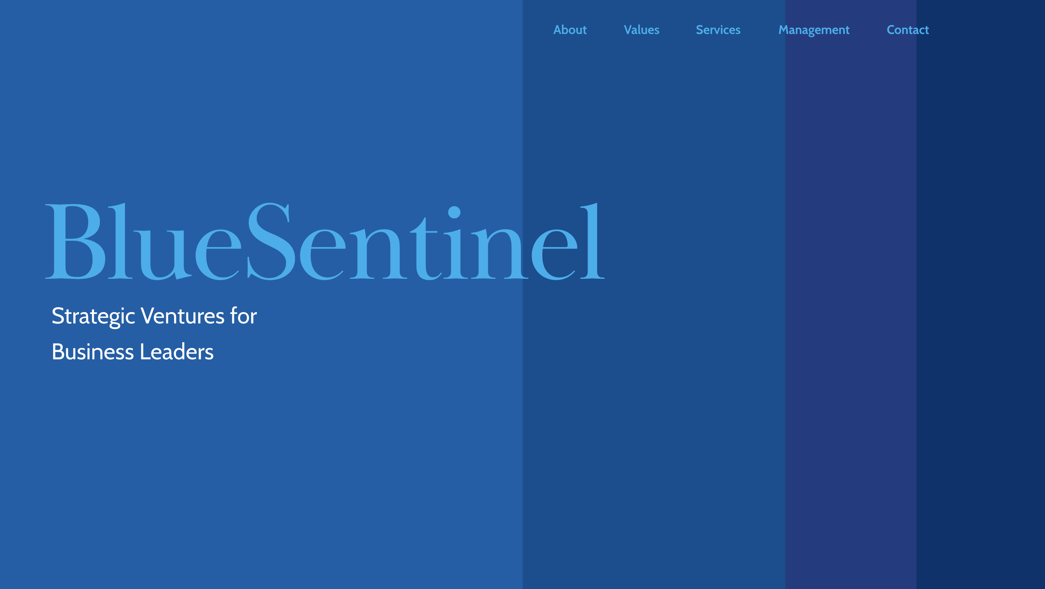 BlueSentinel Screenshot 1 - BlueSentinel Home Page