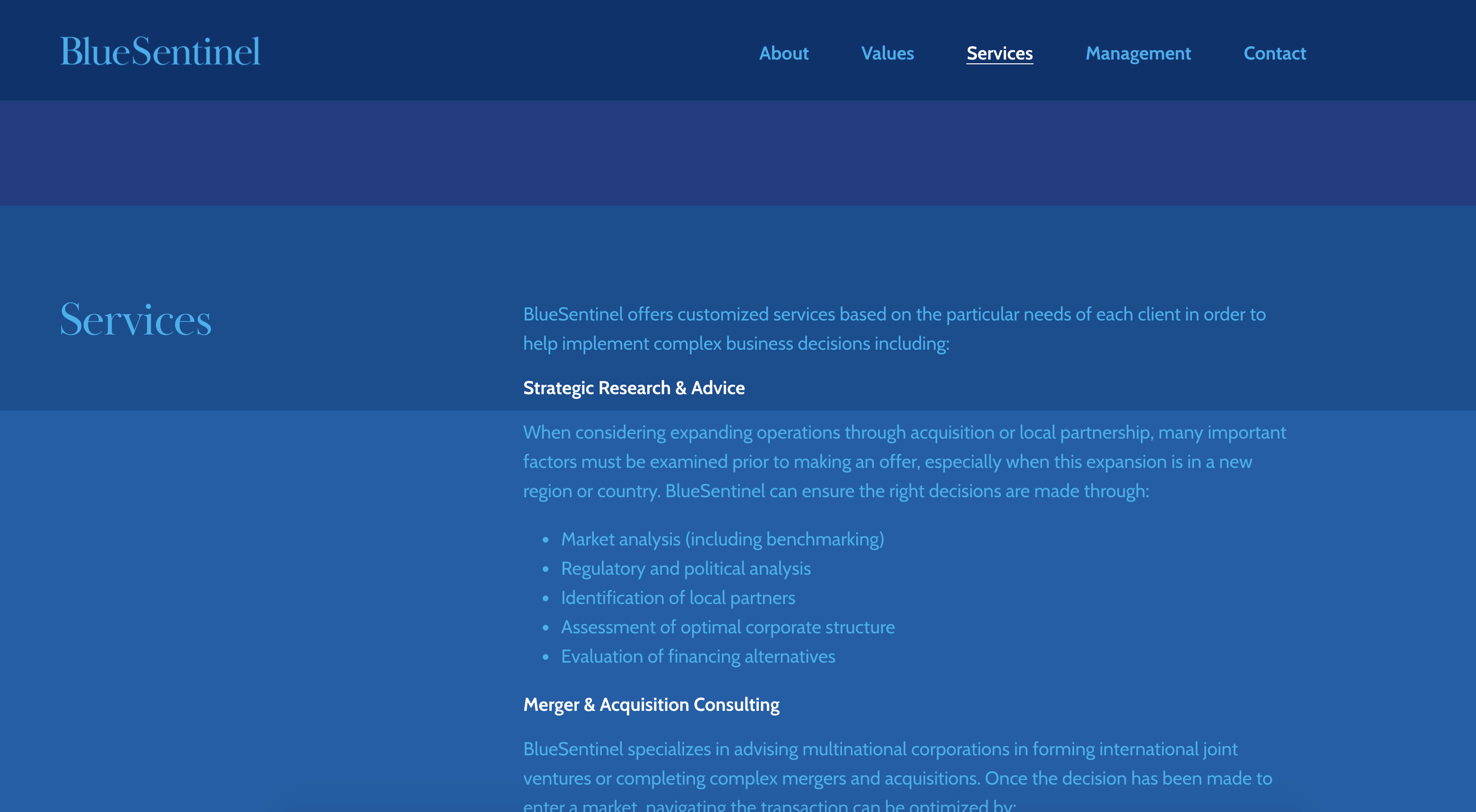 BlueSentinel Screenshot 2 - BlueSentinel Services Page